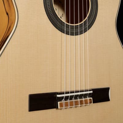 Raimundo 133 Ebano Blanco Classical Guitar White Ebony Cedar image 13