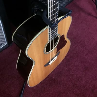 Washburn WSD5240 Warren Haynes Signature Model Acoustic Guitar w/Hard Case - Natural Gloss [ProfRev] image 2