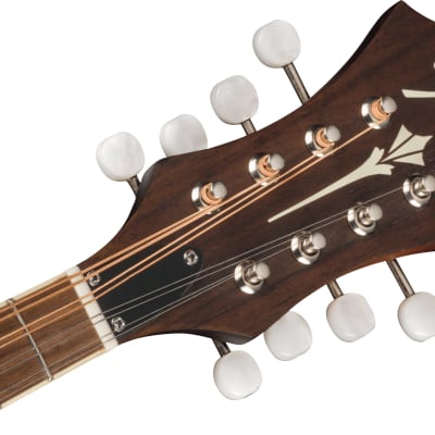 Fender #0970382337 - PM-180E Paramount Acoustic-Electric Mandolin with Gig Bag, Aged Cognac Burst image 4