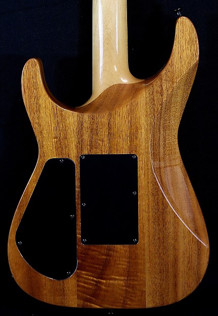 Jackson shop neck thru