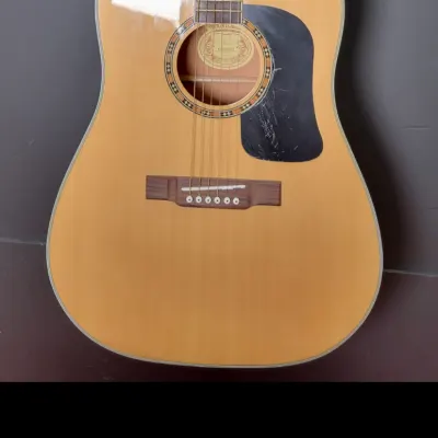Washburn D9c Acoustic Guitar image 1