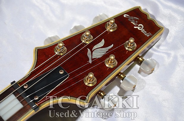 Aria Pro II PE DLX | Reverb