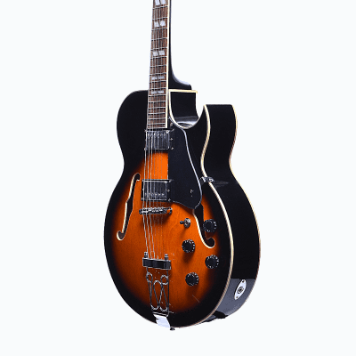 Glen Burton GE775-TS Hollow Body Chicago Maple Neck 6-String Electric Guitar w/Gig Bag, Strap & Pick image 3