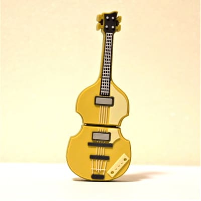 Hofner 500/1 Bass Guitar USB Stick – BRAND NEW for sale