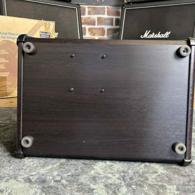 Boss Acoustic Singer Pro 120 Watt Vocal and Acoustic Guitar Amplifier image 12