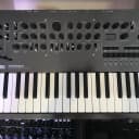 Korg Minilogue 4-Voice Analog Polyphonic Synthesizer- Limited Edition Polished Gray