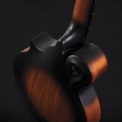 Washburn M108SWK Americana Series All Solid F-Style Maple Neck Wood Mandolin w/Hardshell Case image 6