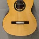 Cordoba C1 Protege Nylon String Classical Acoustic Guitar with gig bag Blem #AH3