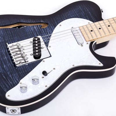 Donner DJC-1000S Telecaster Thinline F Hole Electric Guitar 2010s