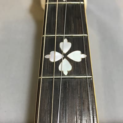 1925 Gibson Granada Mastertone Tenor Banjo image 11