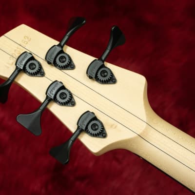 outlet】Swan Custom Basses / Alpha Special 5strings Bubinga | Reverb