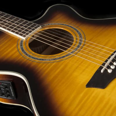 Washburn Festival EA15ATB-A Spruce Top With Flame Maple Veneer Acoustic image 2