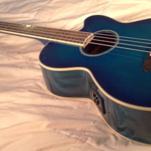 REDUCED! Rock bottom price! Aria Elecord FEB02 Acoustic Bass