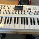 Sequential Prophet 12 Limited Edition Hybrid Digital/Analog Synthesizer 63/100