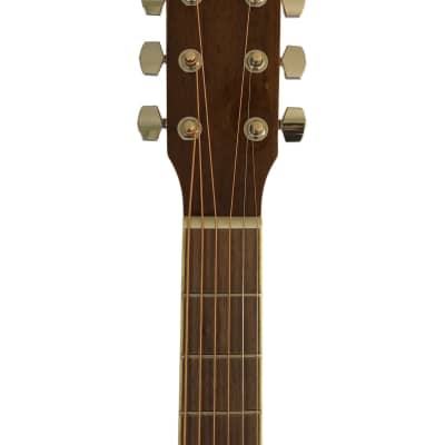 Revival RG-25 Spruce Top Thin Body Black Walnut Back & Sides 6-String Acoustic Guitar image 4