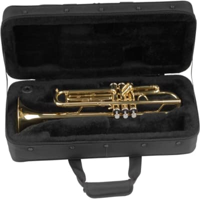 SKB Rectangular Trumpet Soft Case image 9