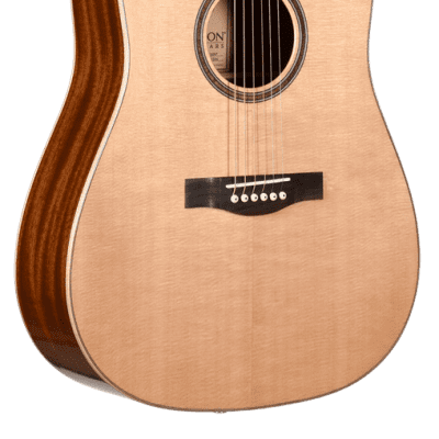 Teton STS100NT Dreadnought, Solid Spruce Top, Mahogany Veneer Back & Sides for sale