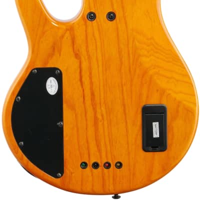 Michael Kelly Pinnacle 4 Electric Bass, Custom Burl image 7