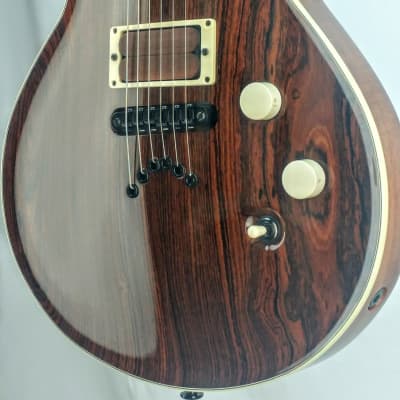 Benavente 2K Custom  T-Rex Guitar image 6