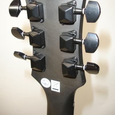 Epiphone Les Paul Special GT Electric Guitar Worn Black image 10