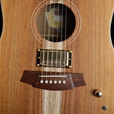 Cole Clark FL2EC Blackwood/Blackwood Humbucker Dual-Output Guitar image 3