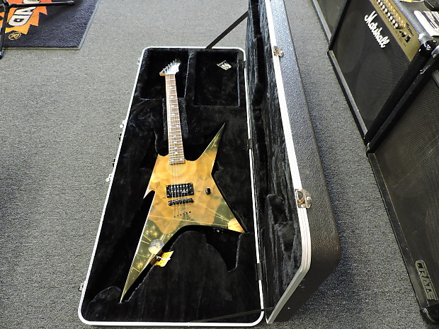Bc rich sale ironbird case