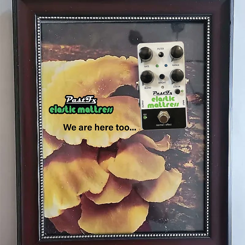 PastFx Elastic Mattress Flanger / Chorus - has an electric
