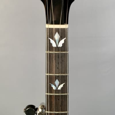 Nechville Classic Deluxe 5-String Banjo image 5