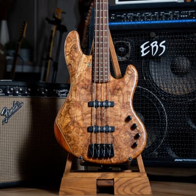 Sandberg California II TT4 Bass 4 string Spalted Maple Top for sale