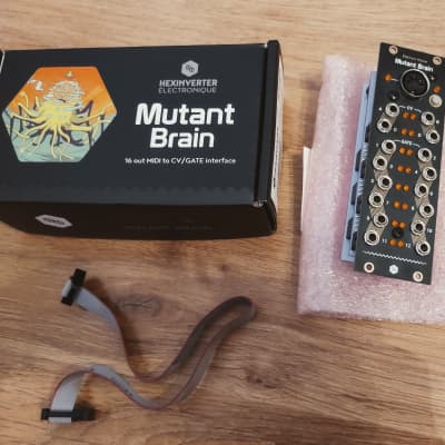 Hexinverter Mutant Brain | Reverb