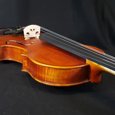Vivace 4/4 Violin, Case & Bow EM 230 Satin Finish Solid Top image 13