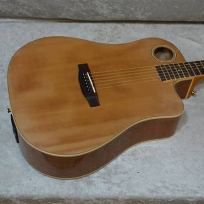 Boulder Creek ECDG-3N acoustic electric guitar for sale