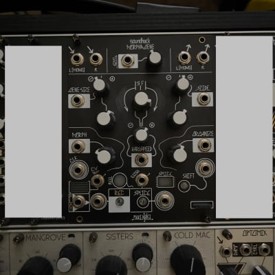 Make Noise Morphagene Module | Reverb