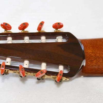 Bartolex SLC10CEL Classical 10-String Harp Guitar, w/Pickup, Cutaway, Sound Port, w/Softshell Case image 10