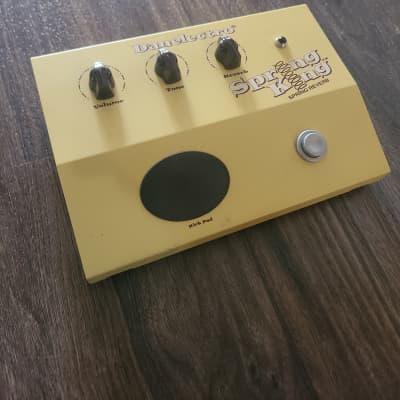 Amazon.com: Danelectro DSR-1 Spring King Reverb : Musical
