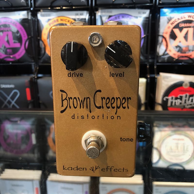 Kaden Effects Brown Creeper Distortion | Reverb Canada