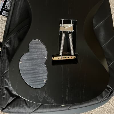 Tao guitar T bucket “Mangetsu” image 9