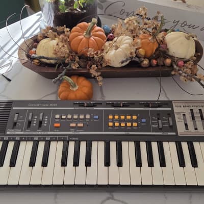 Realistic Concertmate 600  (Casio MT-100)