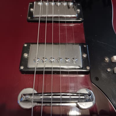 Global SG Bigsby/Non-Functional image 4