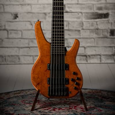 Status Empathy 6 String for sale