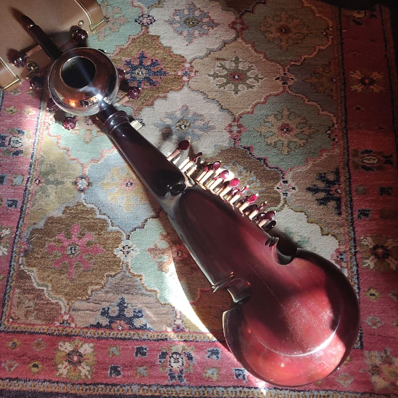 Hemen and Co. Full decoration sarod | Reverb