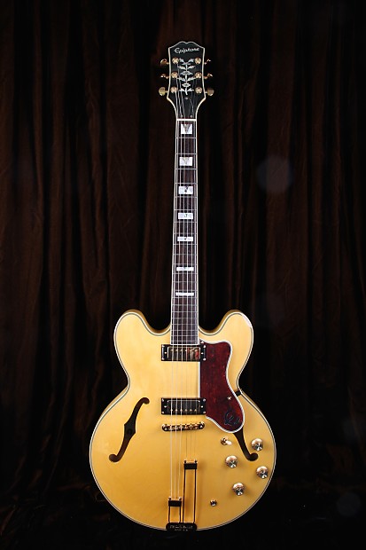 Amazon.com: Epiphone Case for Epiphone Dot, Sheraton, 335