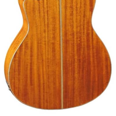 Corbin MDG329-CE Acoustic Electric Classical with Cutaway image 2