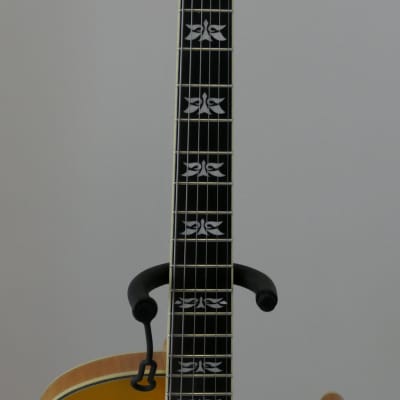 Ibanez GB40THII-AA George Benson 40th Anniversary Signature Hollowbody Electric Guitar-Antique Amber image 4