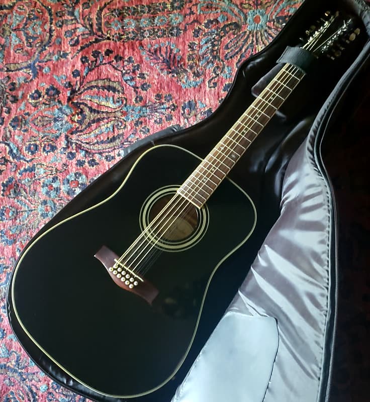 Fender DG-16 12-String Black 1997