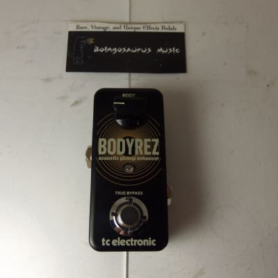 TC Electronic Bodyrez Acoustic Pickup Enhancer | Reverb