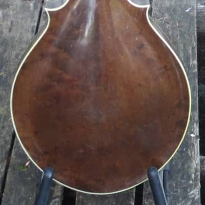 Lyon & Healy Style B mandolin, 1924 image 5