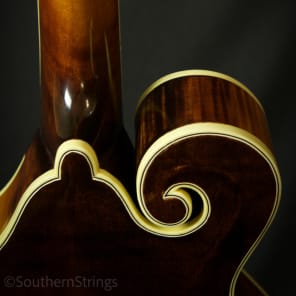 Apitius Classic F-Style Mandolin - Black Cherry Sunburst image 15