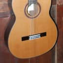 Cordoba C7 Acoustic Nylon String Solid Cedar Top Rosewood Classical Guitar w/Bag