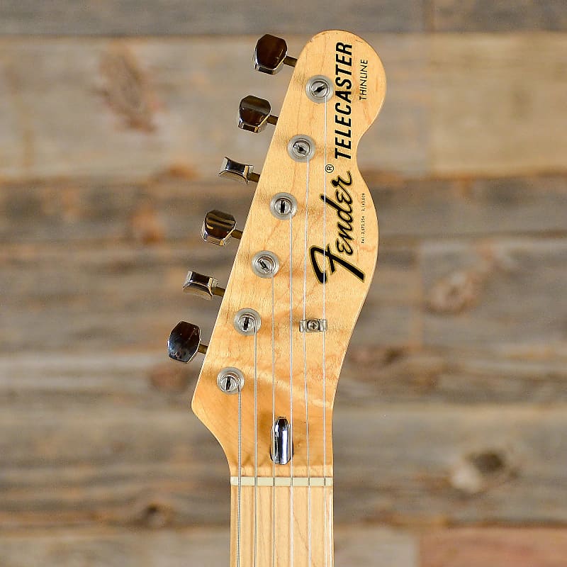 Fender Telecaster Thinline with Bigsby (1972 - 1975) image 5